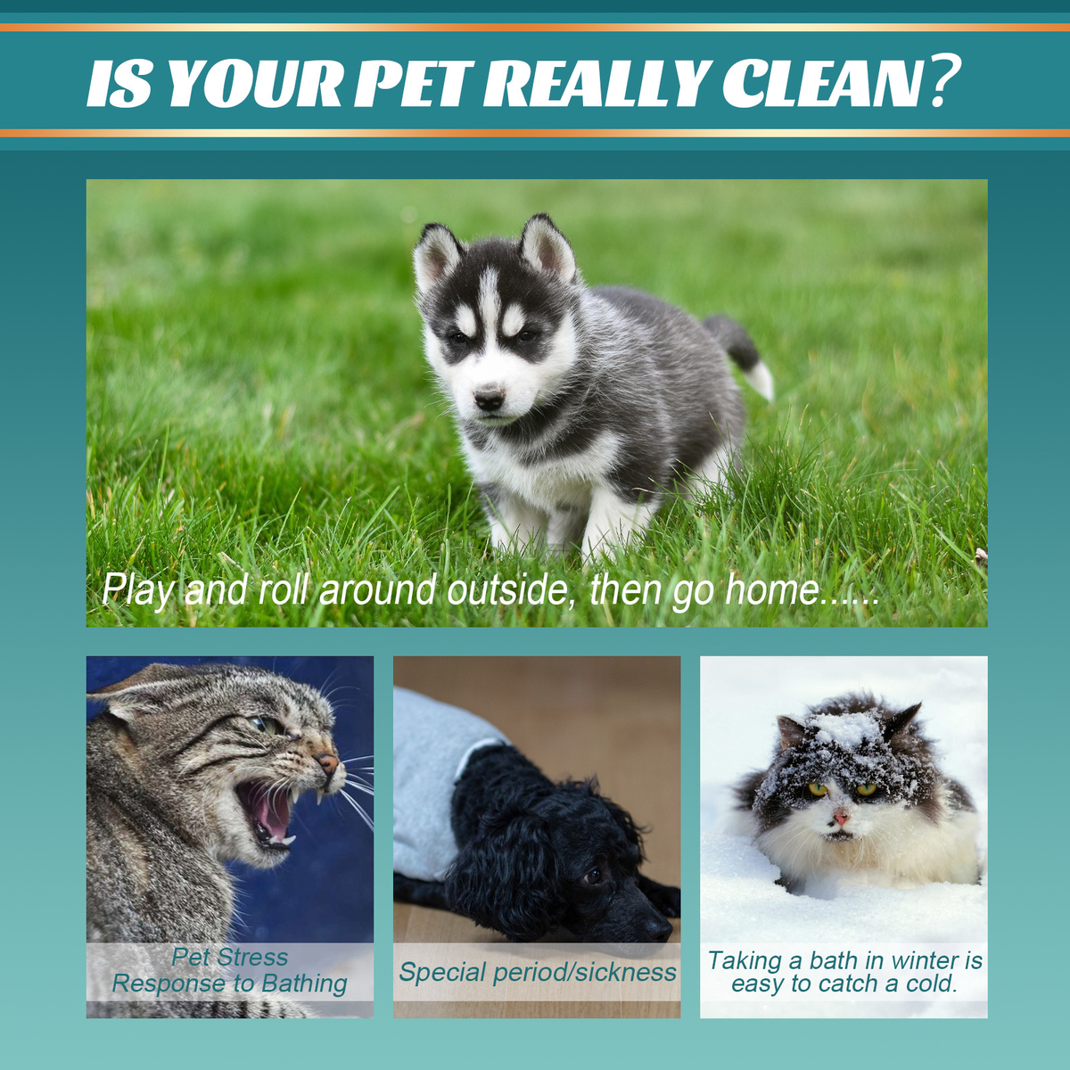 VOPPI FreshPaw Grooming Glove Wipes for Dogs & Cats